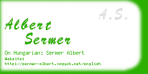 albert sermer business card